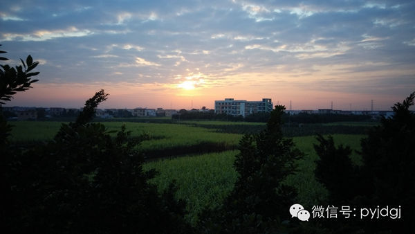 世界那么大，我想带你来广电商，带上你的梦想，我带着你